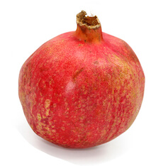 Granatapfel